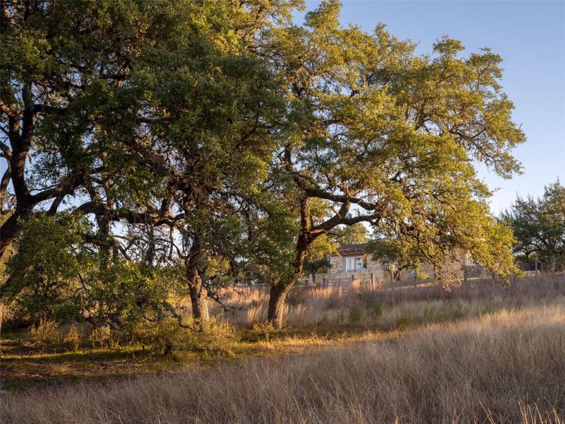 Natural landscape and outdoor views near  in Johnson City (Image 17).