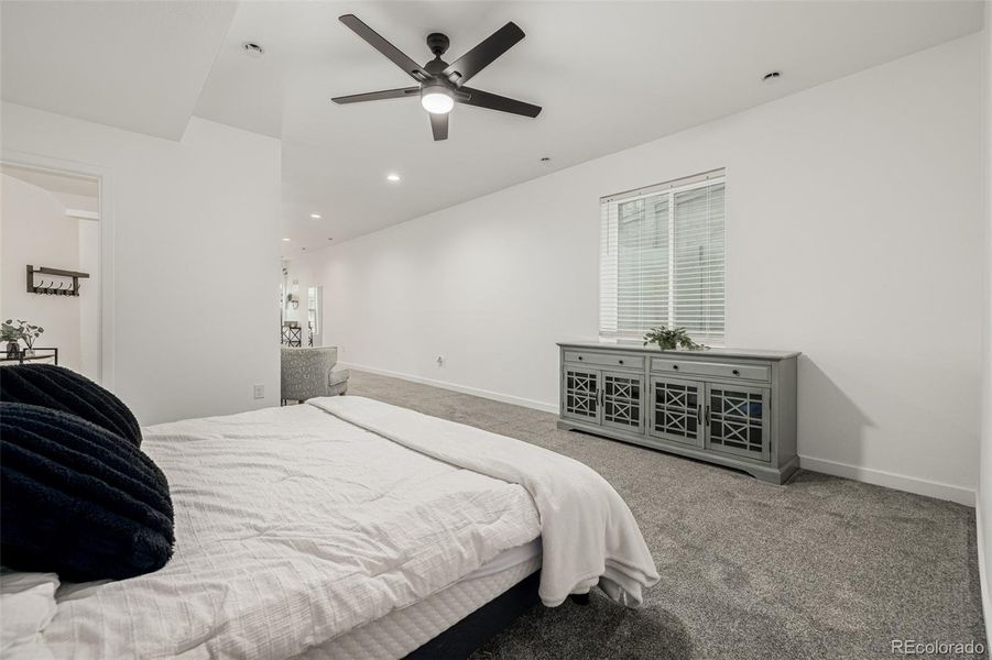 4th Bedroom in Basement