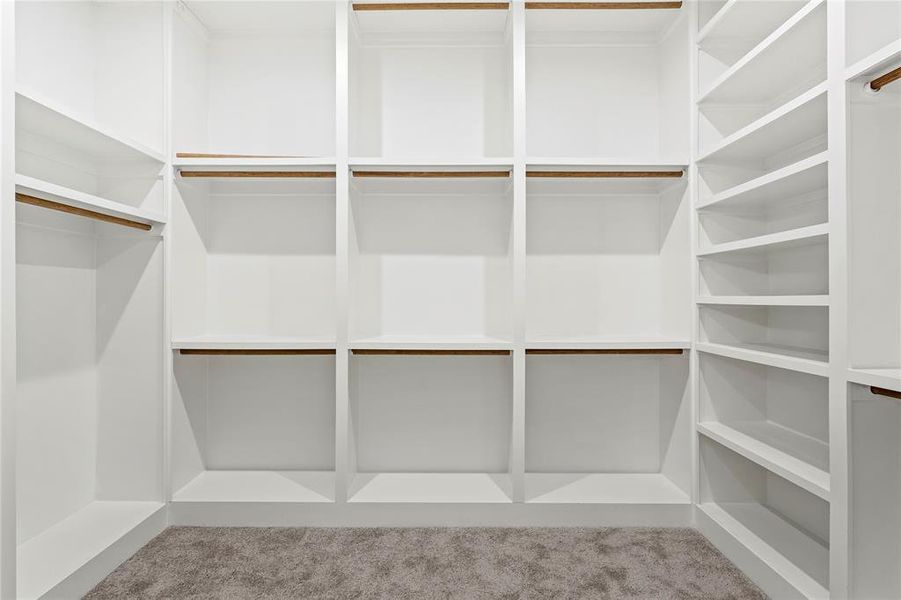 Spacious closet featuring carpet flooring