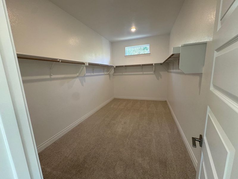 Large walk in closet featuring light colored carpet