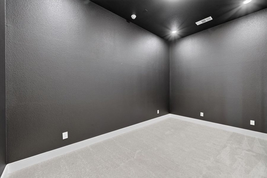 Entertainment Room