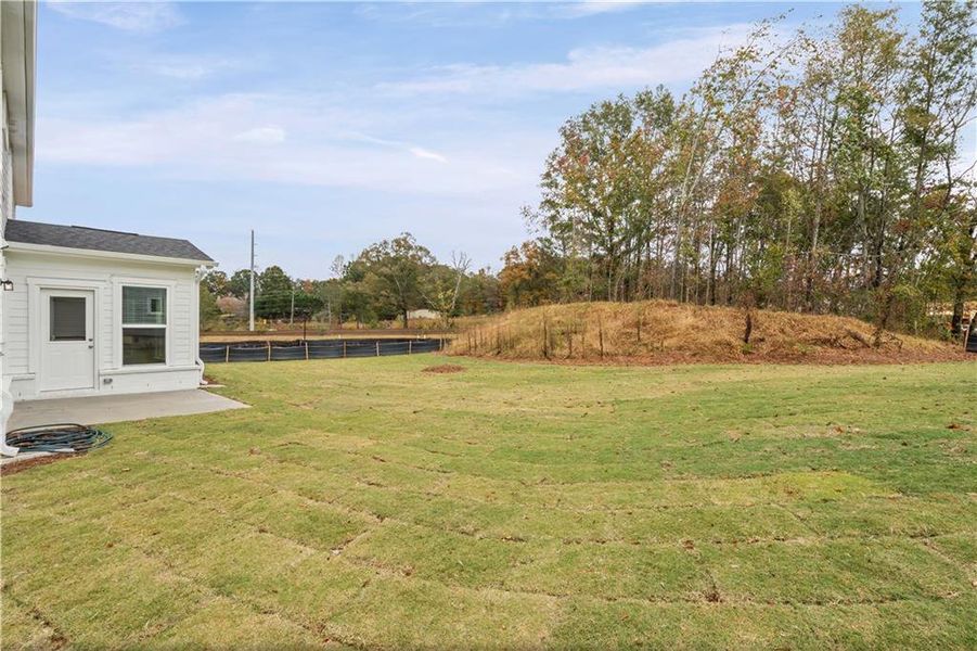 Exterior details and patio area of a home in Rose Creek, Cumming (Image 29).