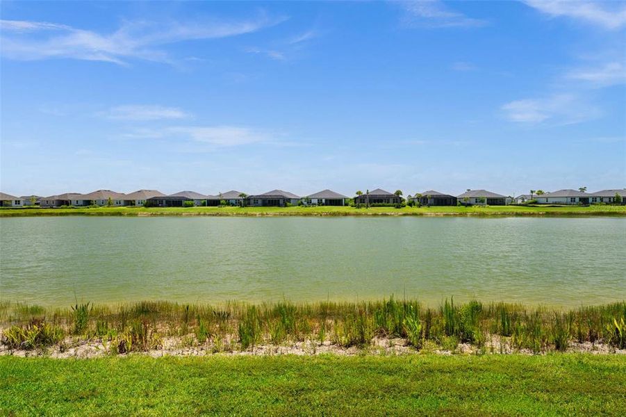 Natural landscape and outdoor views near  in Punta Gorda (Image 47).