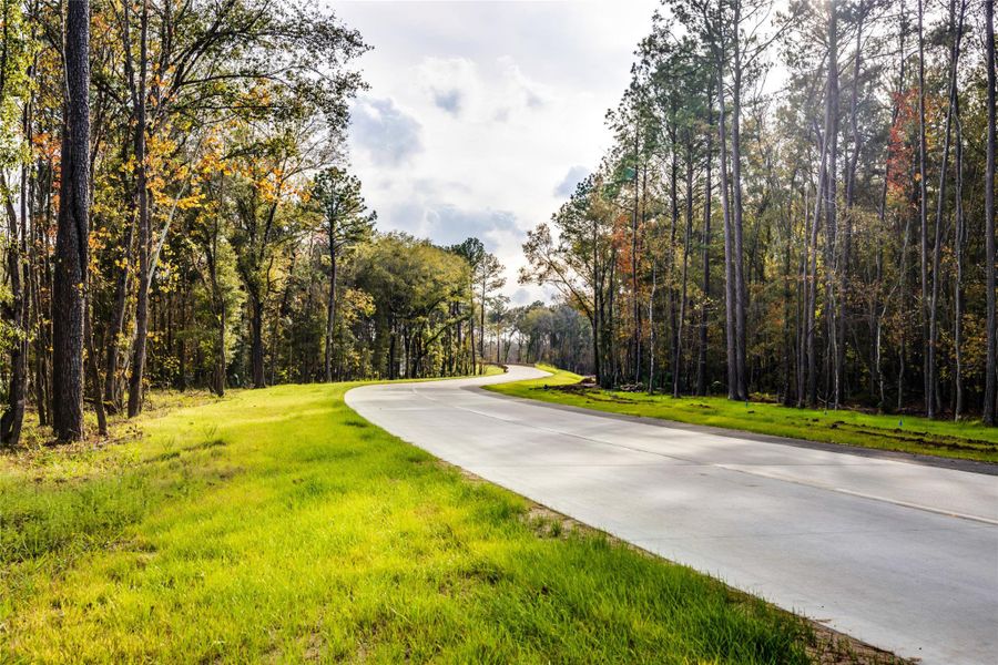 Natural landscape and outdoor views near The Highlands in Porter Heights (Image 17).