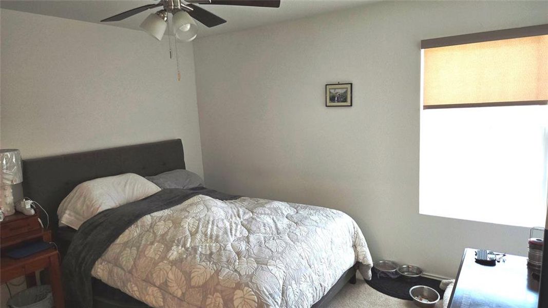 Bedroom featuring a ceiling fan with integrated lighting, a window with a roller shade, and light-toned wall finishes