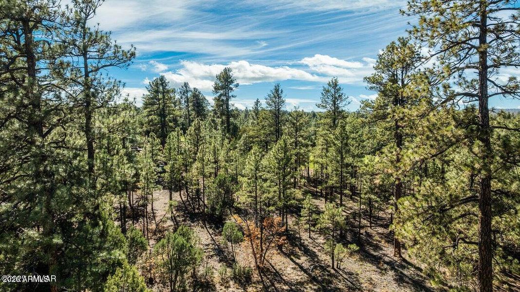 20251110205716305732000000-o 20251110205716305732000000-o