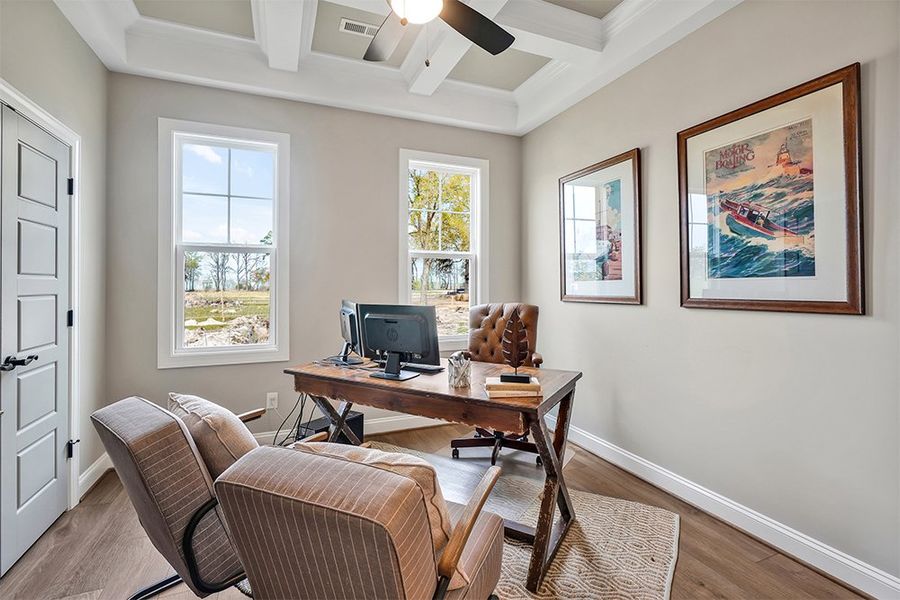 Lumina Island, Study