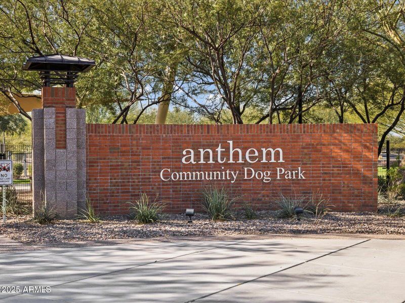 27-Anthem Community_558