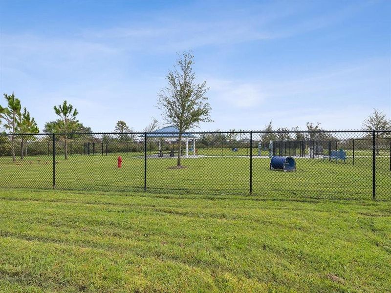 Community amenities in Epperson, Wesley Chapel (Image 24). Community amenities in Epperson, Wesley Chapel (Image 24).