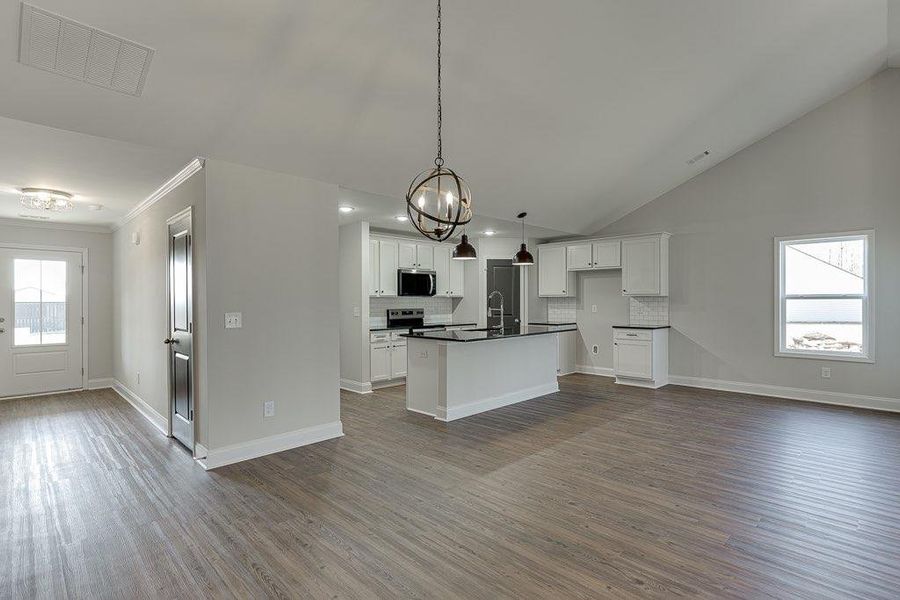 Spacious, unfurnished interior of a new home in , Carnesville (Image 29).