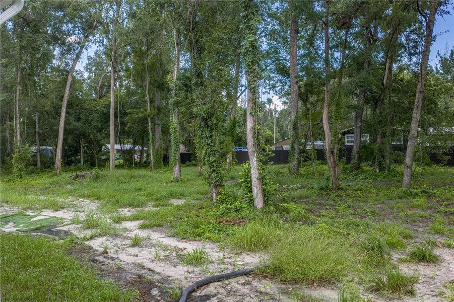 Natural landscape and outdoor views near  in Webster (Image 51).