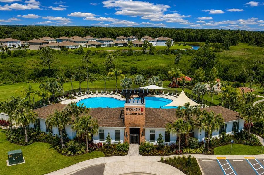 Community amenities in , Wesley Chapel (Image 29). Community amenities in , Wesley Chapel (Image 29).