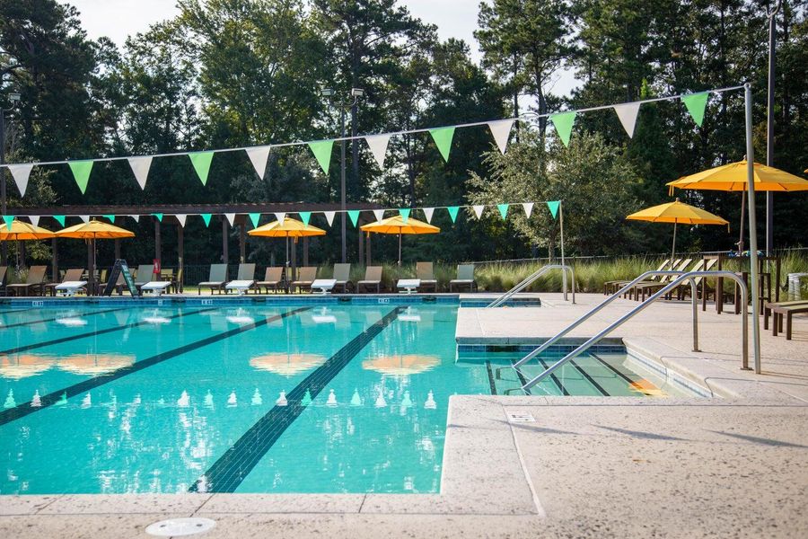 Community amenities in Carnes Crossroads, Summerville (Image 17).