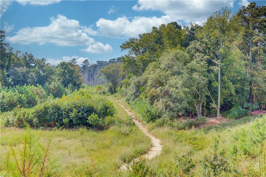 Image 34 of a home in Sweetwater Green - Royal Series.