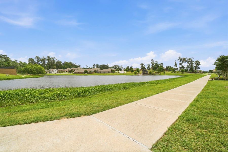 Natural landscape and outdoor views near Wedgewood Forest in Conroe (Image 35).