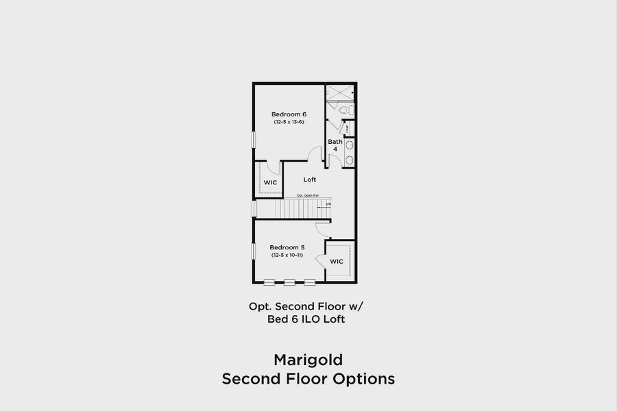 2D floor plan layout for the Marigold by DRB Homes in Ardisia Park, New Smyrna Beach, FL (Image 23).