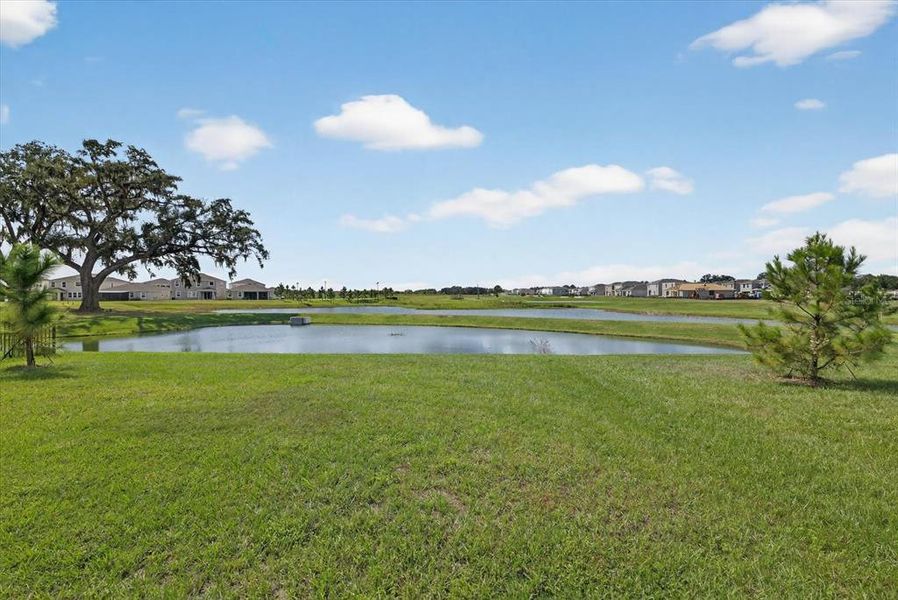 Natural landscape and outdoor views near in San Antonio (Image 51). Natural landscape and outdoor views near in San Antonio (Image 51).