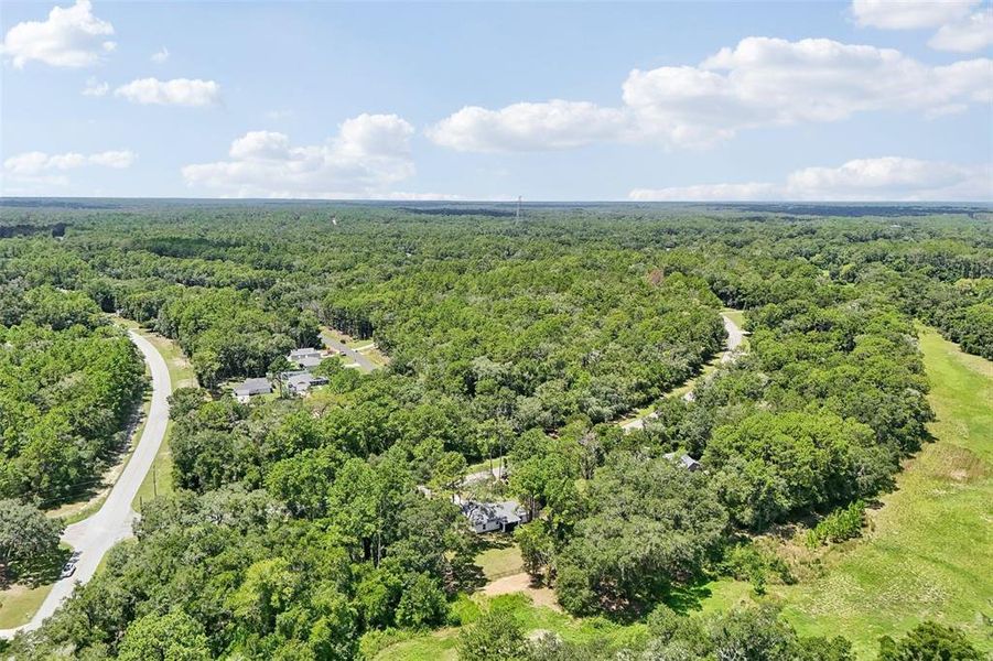 Natural landscape and outdoor views near in Citrus Springs (Image 50). Natural landscape and outdoor views near in Citrus Springs (Image 50).