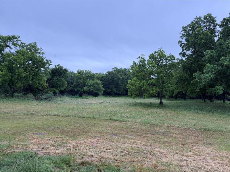 View of back of property, looking south, with gorgeous, mature trees throughout. View of back of property, looking south, with gorgeous, mature trees throughout.