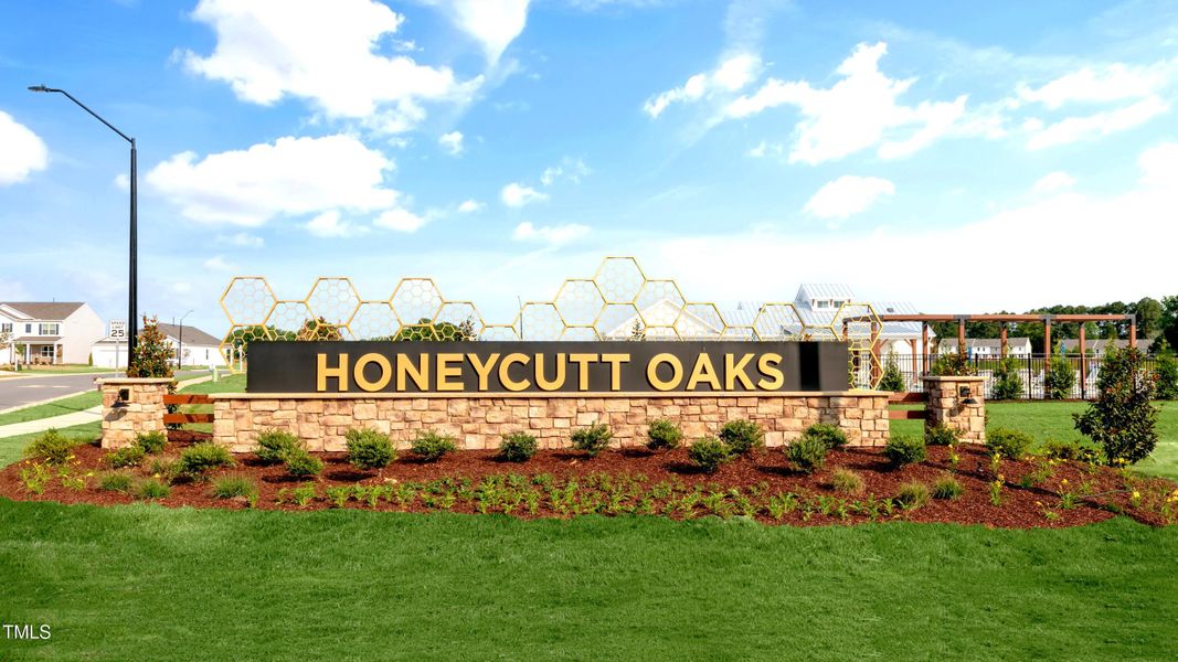 honeycutt-oaks-monument-pool-006 honeycutt-oaks-monument-pool-006