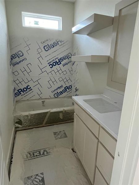 Bathroom with vanity and a bathing tub