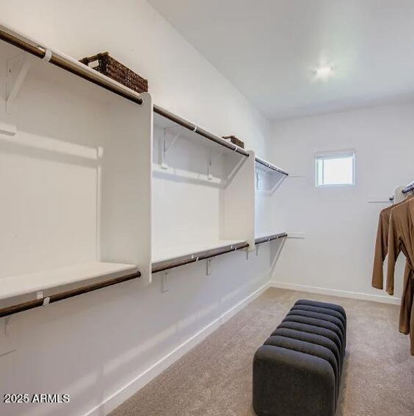 Owners Walk in Closet Owners Walk in Closet