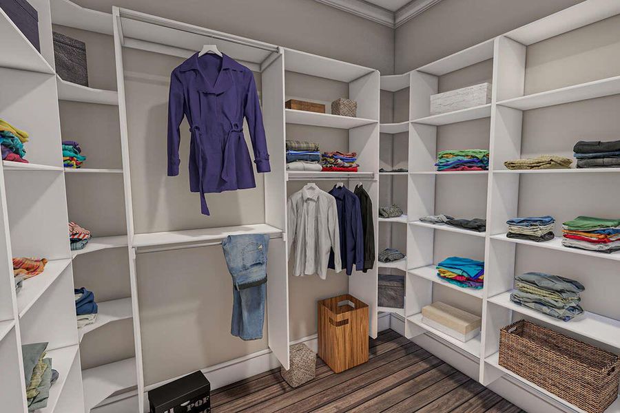 Walk in closet with wood finished floors