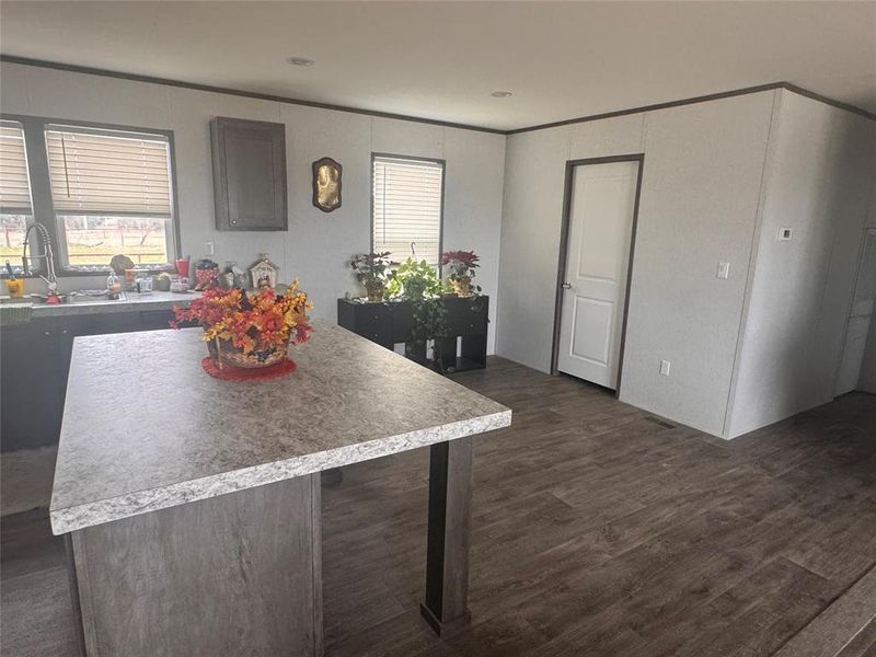 Kitchen with a kitchen island, dark wood-style floors, light countertops, dark wood finish cabinetry, and crown molding Kitchen with a kitchen island, dark wood-style floors, light countertops, dark wood finish cabinetry, and crown molding