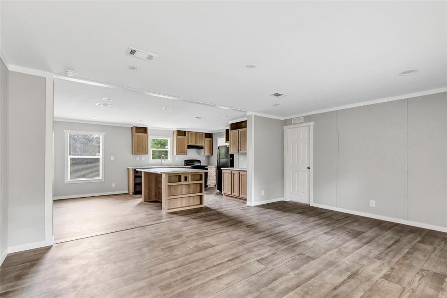 Living room and kitchen