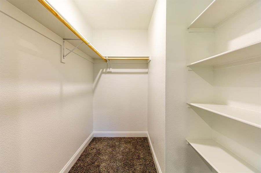 Walk in closet with carpet Walk in closet with carpet