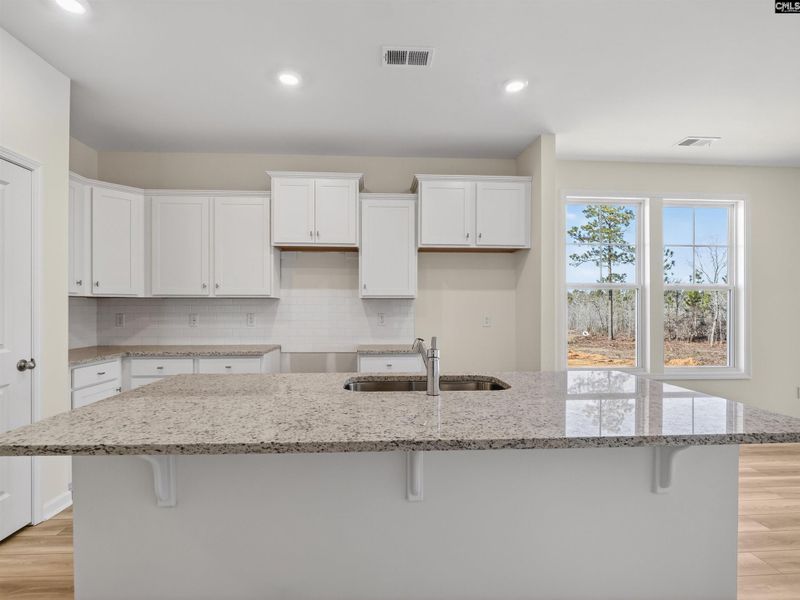 Furnished interior view inside a new home in Old Charleston Acres, Pelion (Image 6).