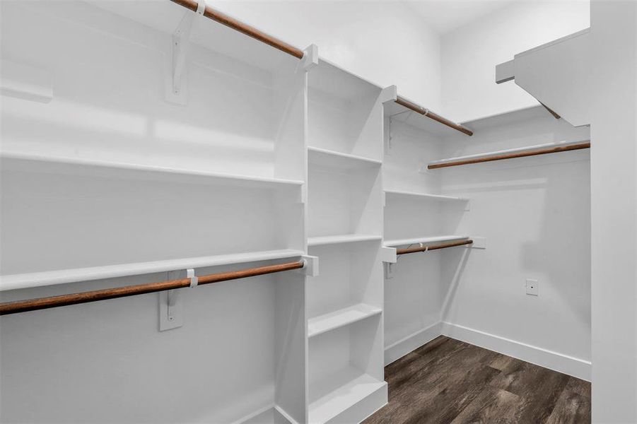 Spacious closet featuring dark hardwood / wood-style flooring