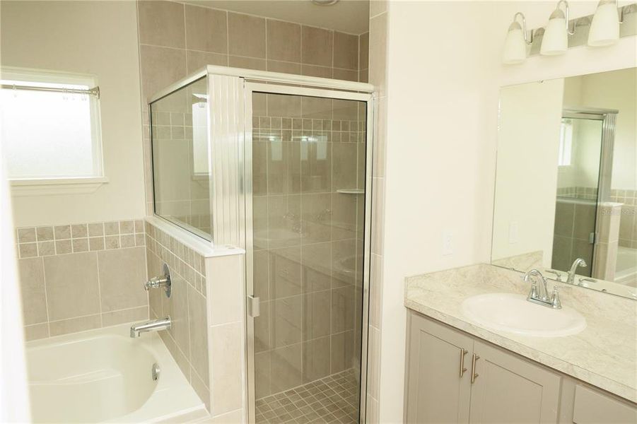 Furnished interior view inside a new home in , Winter Haven (Image 4).