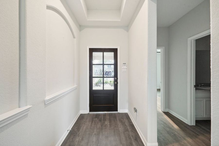 Entryway with dark wood floors, tray ceiling, and black front door with glass panels