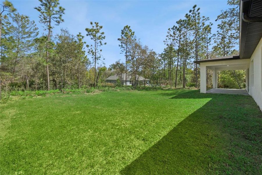 Exterior details and patio area of a home in , Citrus Springs (Image 22).