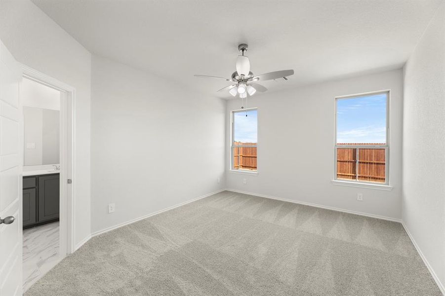 18. 8216 Kingfisher - Primary