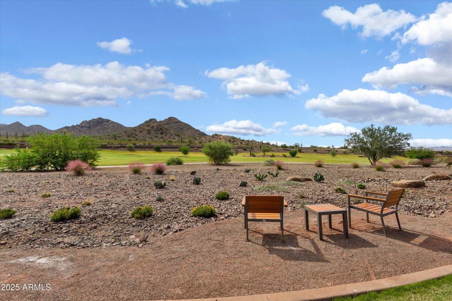 44-Saguaro-Sun City Festival 44-Saguaro-Sun City Festival