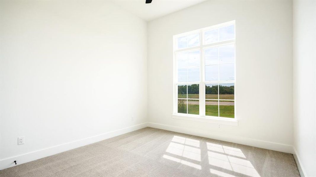 Carpeted spare room featuring a healthy amount of sunlight