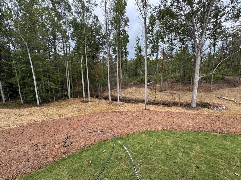 Natural landscape and outdoor views near in Buchanan (Image 41). Natural landscape and outdoor views near in Buchanan (Image 41).