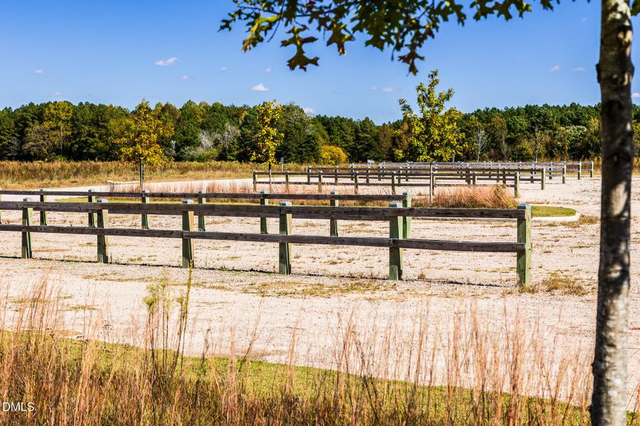 Proctor Farm Preserve (1)