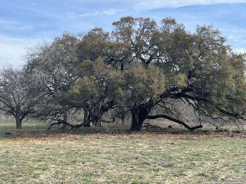 Image 6 of a home in .