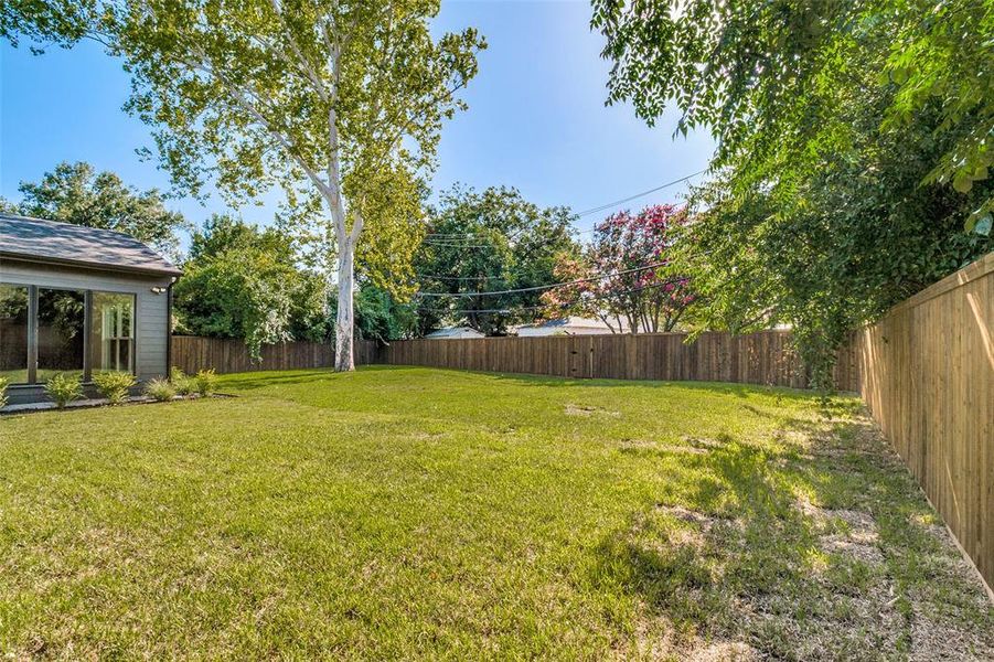 Spacious backyard featuring a substantial lawn area, full privacy fencing, and mature trees providing natural shading Spacious backyard featuring a substantial lawn area, full privacy fencing, and mature trees providing natural shading