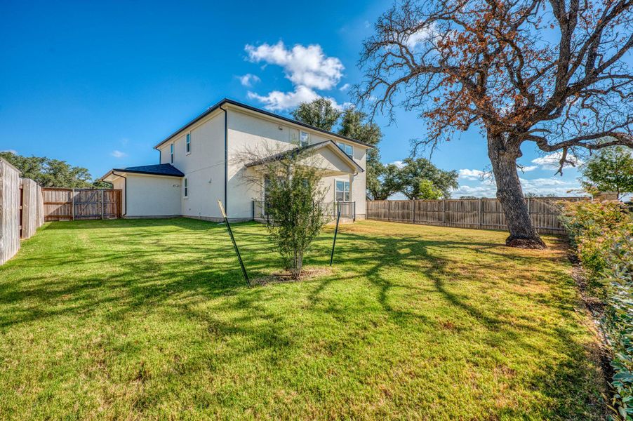 A spacious grassy lawn is fully enclosed by wooden fencing under mature shade trees. A spacious grassy lawn is fully enclosed by wooden fencing under mature shade trees.