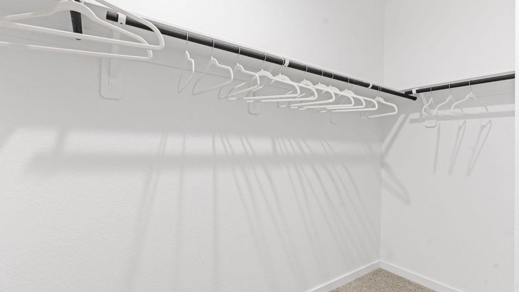 *Images and 3D tour are for illustration only and options may vary from home as built.