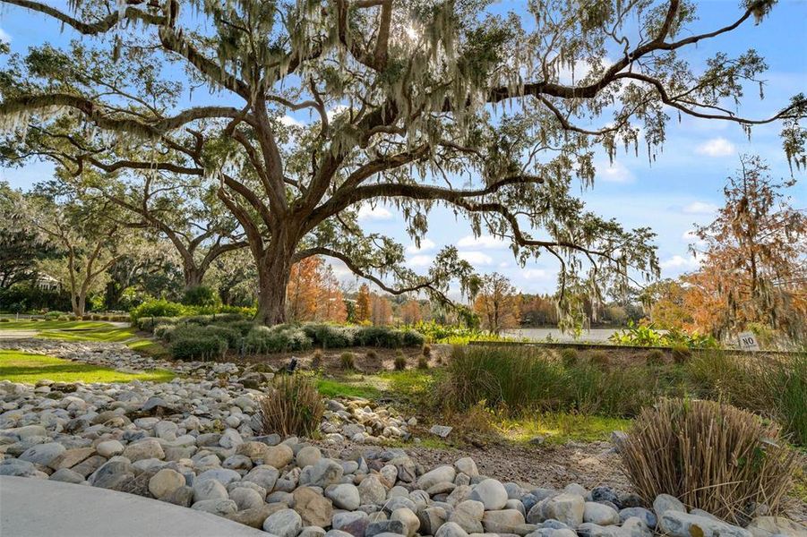 Natural landscape and outdoor views near Oakland Park in Winter Garden (Image 40).