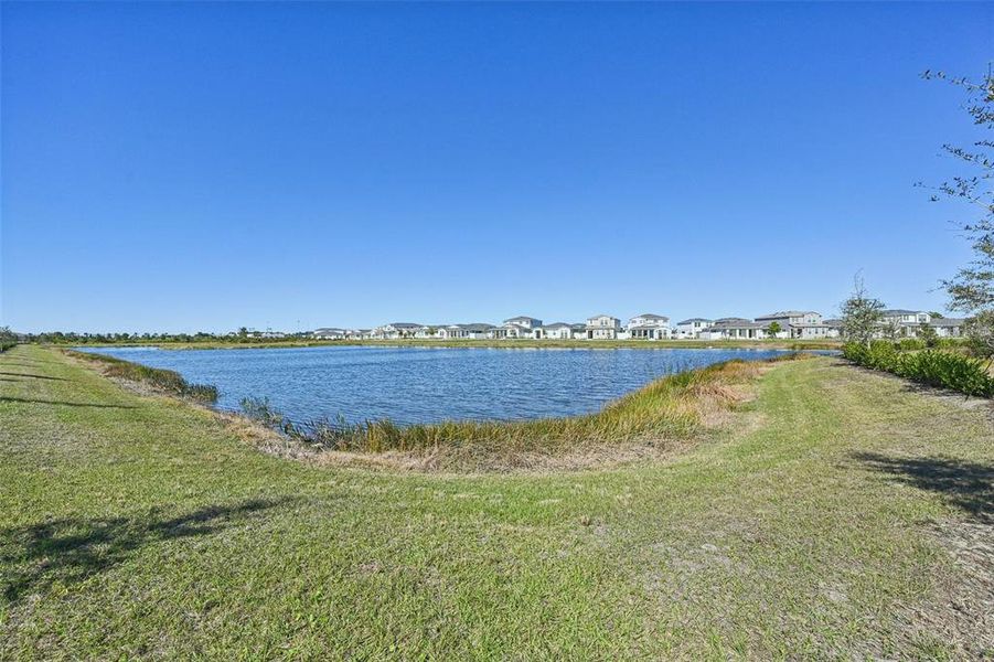 Natural landscape and outdoor views near  in Venice (Image 70).