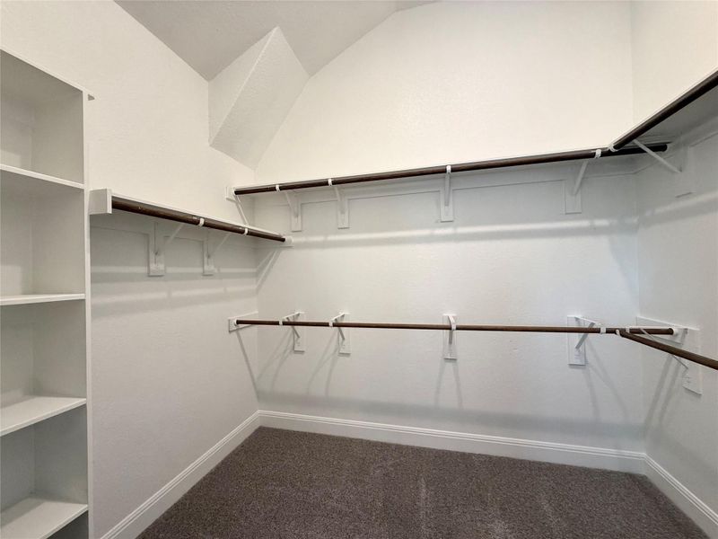 Spacious closet featuring carpet Spacious closet featuring carpet