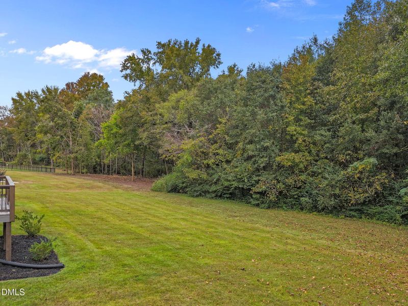 4-web-or-mls-DJI_20251013233731_0742_D