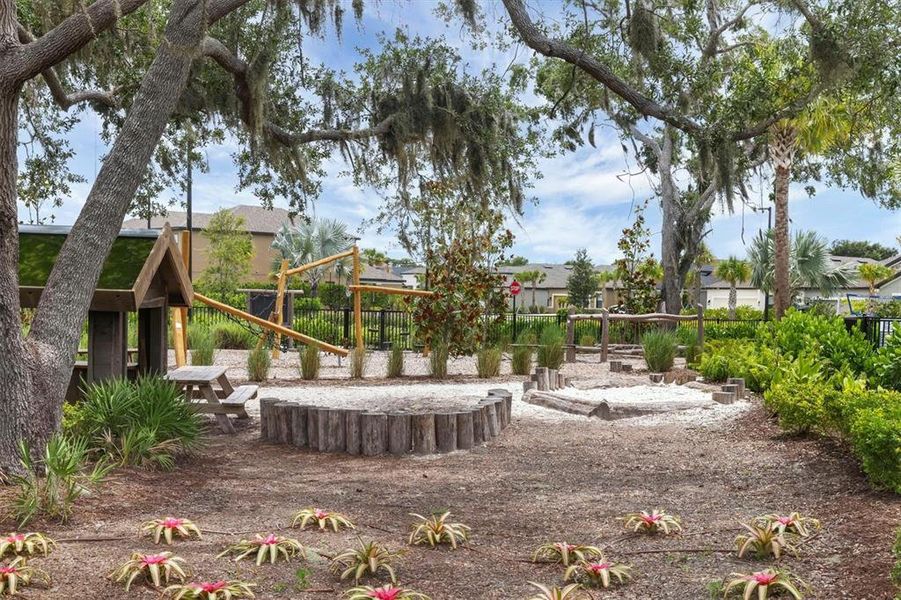 Community amenities in Palmero, Nokomis (Image 42).
