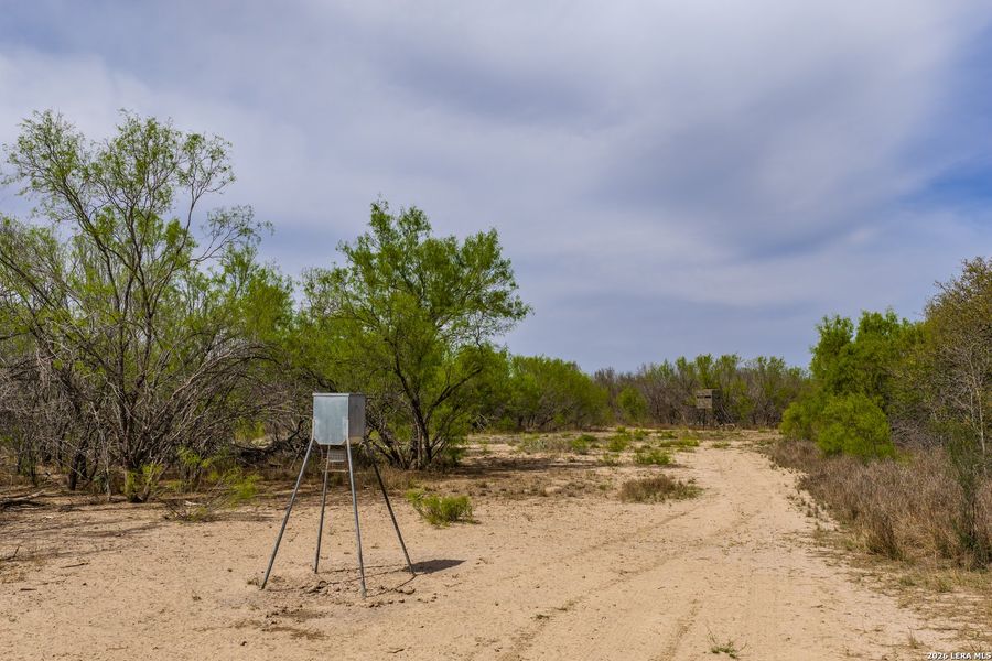 Natural landscape and outdoor views near in Crystal City (Image 41). Natural landscape and outdoor views near in Crystal City (Image 41).